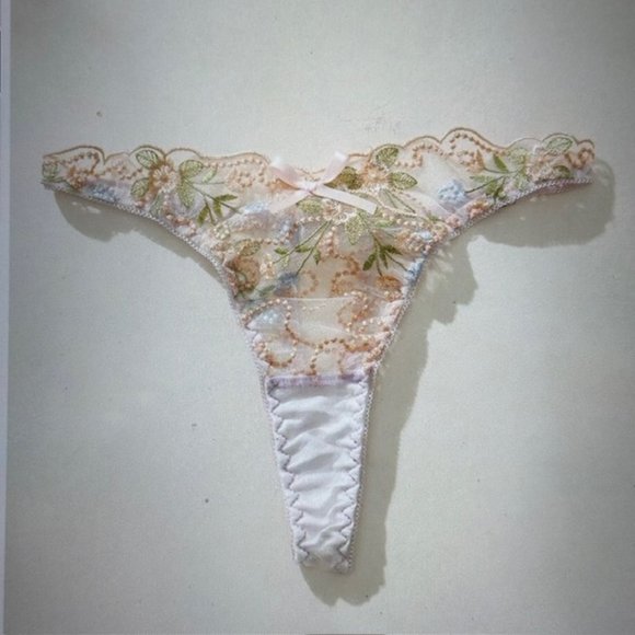 Brand New Embroidery Mesh Panty Various - Picture 1 of 5